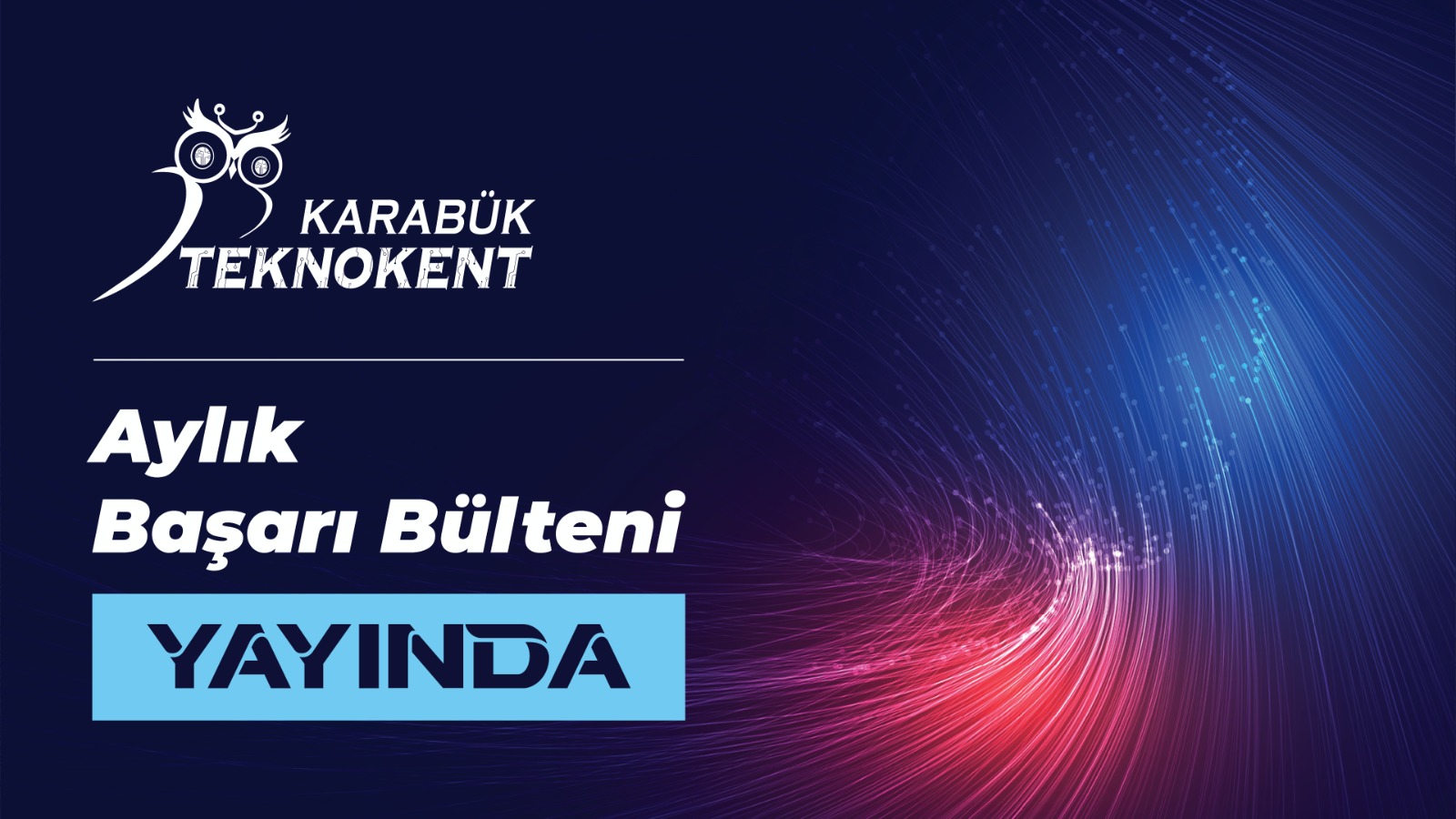 Ocak Ayı Bülten 